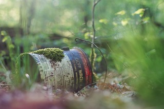 Plantas y contaminación